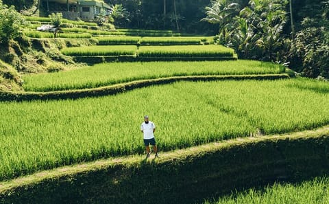 Private Full Day Shore Excursion in Bali's Cultural Heart