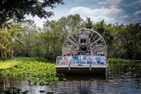 Everglades Airboat Experience – Wildlife & Wetlands 5