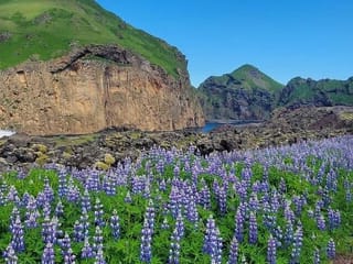 Vestmannaeyjar Westman Islands Private Tour, photo 6
