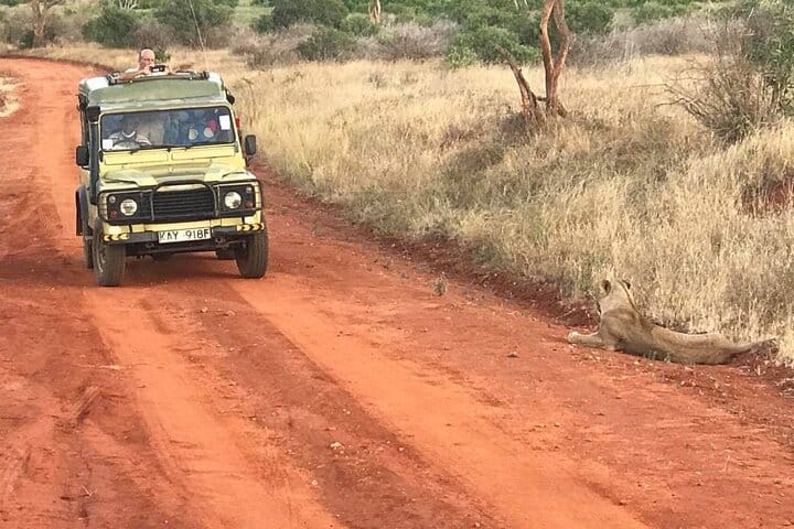 Private Game Drive in Maasai Mara 3