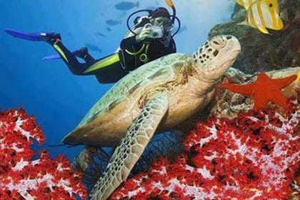 8 Days Luxury Summer Package Hurghada, Nile Cruise, Tours