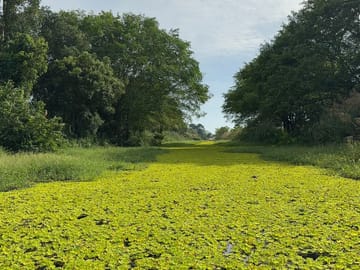 U Minh Thuong National Park Nature and Wildlife Tour