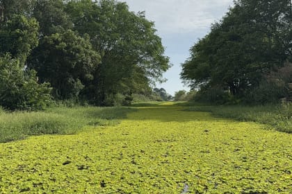 U Minh Thuong National Park Deep Exploration