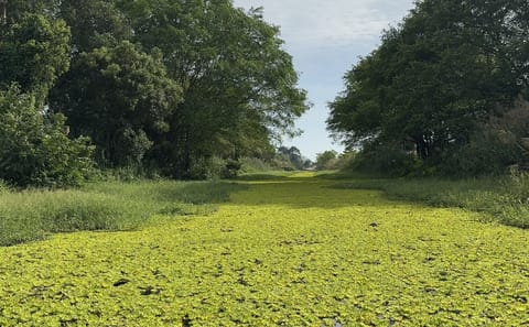 U Minh Thuong National Park Nature and Wildlife Tour