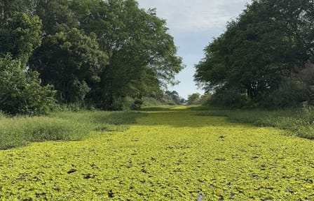 U Minh Thuong National Park Nature and Wildlife Tour