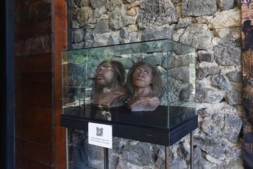 Full-Day Private Tour of Bolnisi Sioni Church and Dmanisi