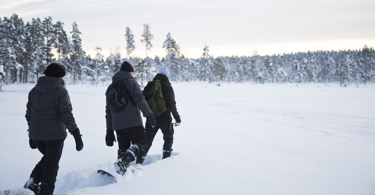 Three people snowshoeing on a winter day in deep snow.