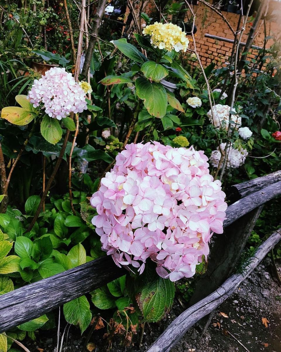 Are-02 : Colca Canyon Day Tour