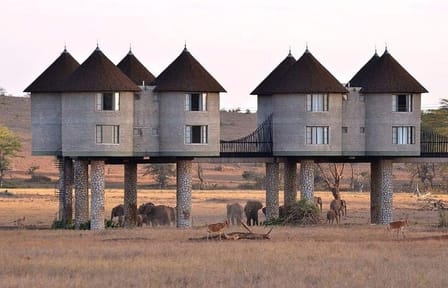 3 Days Private Safari To Saltlick Lodge From Nairobi