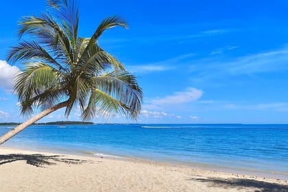 3 Day Pasikudha Tour from Colombo