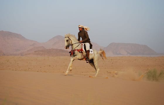 Arabian Horseback Desert and Sea