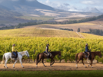 Cape Town & Surroundings: A September 2027 Experience