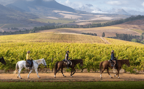 Cape Town & Surroundings: A September 2027 Experience