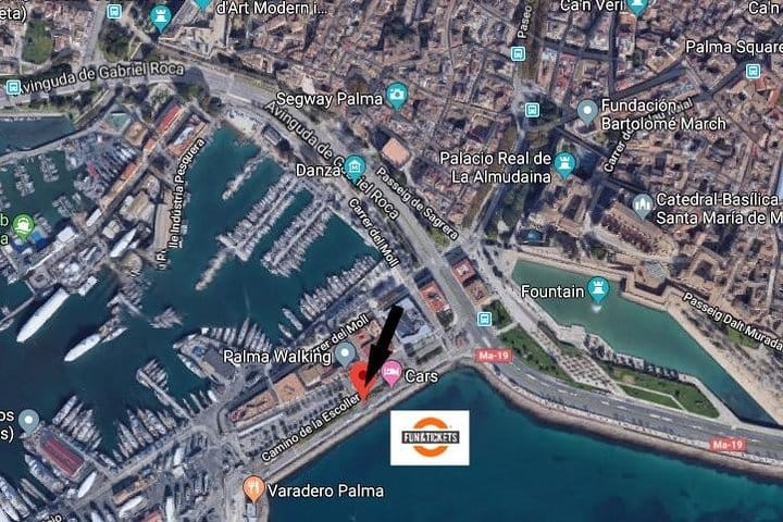 Mallorca Full Day Tour by Train, Tram and Boat 5