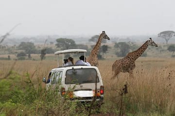 Nairobi National Park Wildlife Game Drive Tour