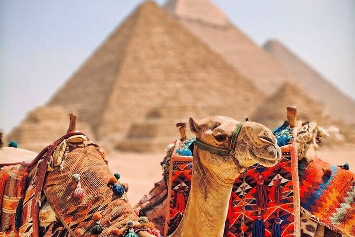 Camel ride
