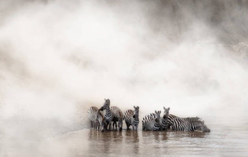 7-Day Group to Maasai Mara, Lake Naivasha, Amboseli from Nairobi