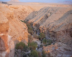 Universe Valley