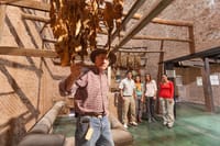 Tobacco Route Full Day Tour from Salta 1