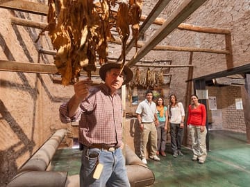 Tobacco Route Cultural Tour in La Viña from Salta