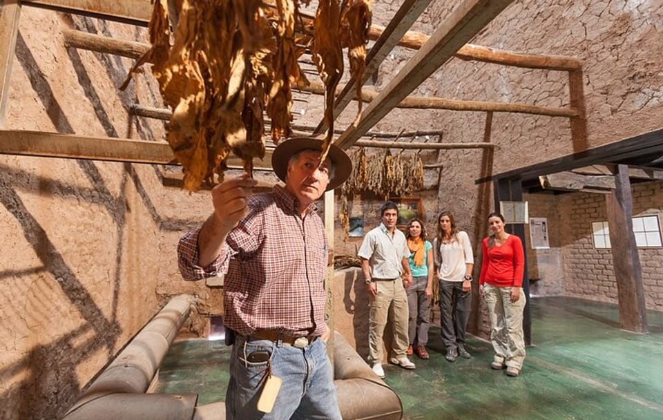 Tobacco Route Cultural Tour in La Viña from Salta