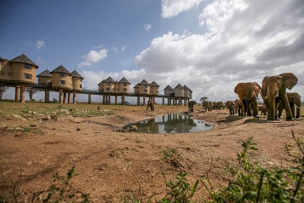 2-Day Taita Hills Wildlife Sanctuary & Tsavo East Safari -Mombasa