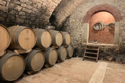 Olive Oil Tasting Tour at Tenuta Santa Maria Valverde, Italy