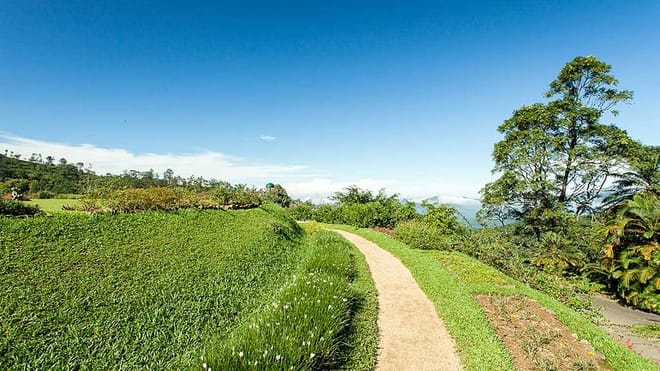 One Day Experience in Kandy (German & English) 7
