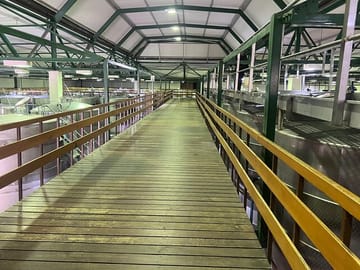 Full Day Wine Tasting Tour in Stellenbosch and Paarl