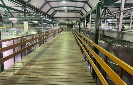 Full Day Wine Tasting Tour in Stellenbosch, and, paarl