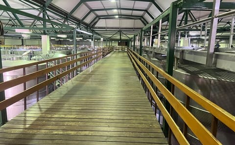 Full Day Wine Tasting Tour in Stellenbosch and Paarl