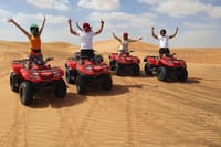 Dubai: Quad & ATV Bike, Red Dune Desert and Safari Adventure 10