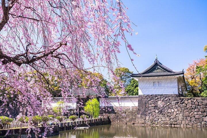 Chiyoda Imperial Palace Walking Tour