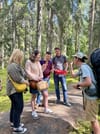 Magical Taiga Forest Hike 4