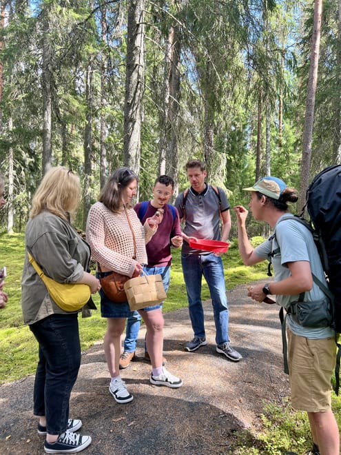 Magical Taiga Forest Hike 4