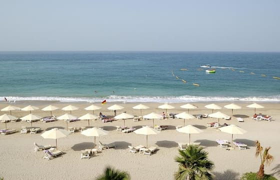 East Coast Dibba & Fujairah Day Trip with Lunch from Dubai