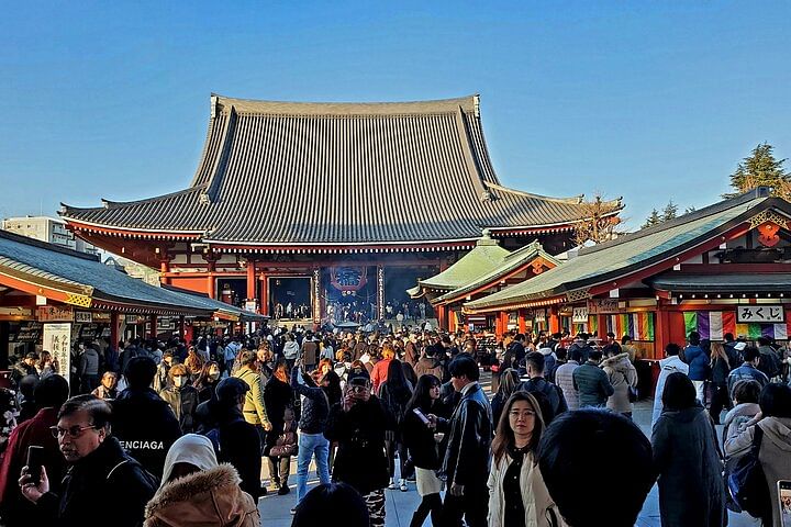 2 Days Private Tour: Tokyo / Mt Fuji and Hakone