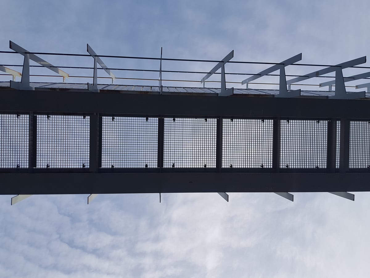 Iceland: Private Reykjanes Geology and Wild Coast Adventure