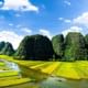 Small Group Of 9 Tour From Hanoi to Incense Village and Ninh Binh
