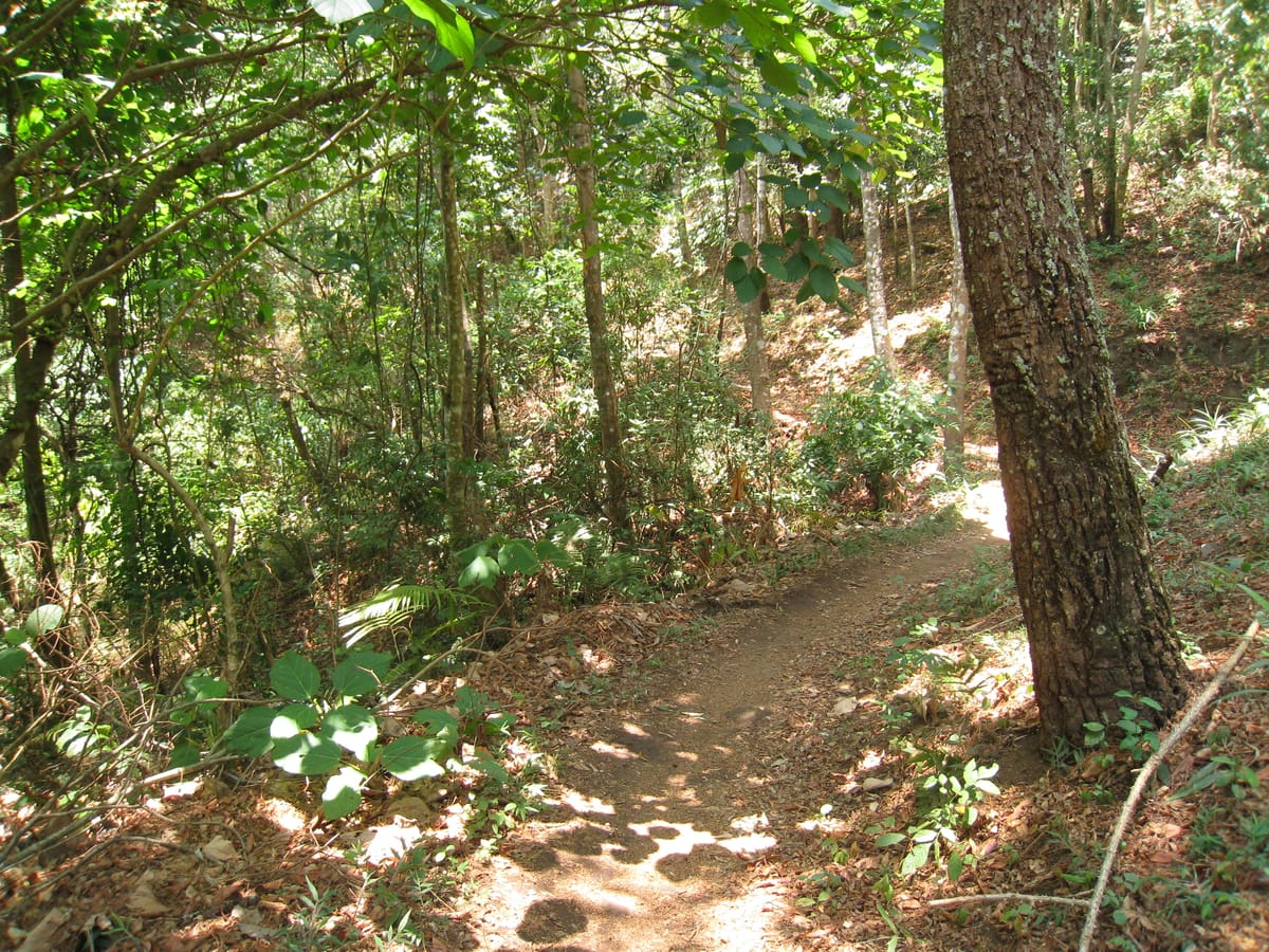 Chiang mai Suthep National Park Leisure Hiking & Mountain Biking