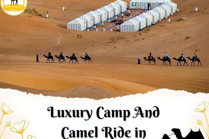 Camel Trekking Adventure in Erg Chebbi Desert with Sunset & Sunrise Views