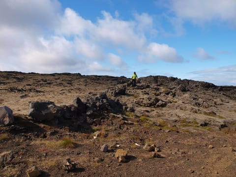 Reykjanes Peninsula & Blue Lagoon Private Day Tour, photo 4
