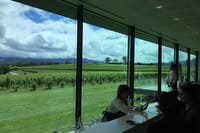 Scenic Private Yarra Valley Wine Tour  8