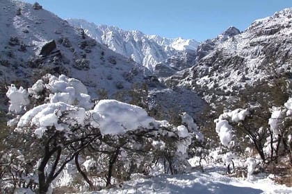 Private Full-Day Tour to El Yeso Reservoir and Maipo Valley