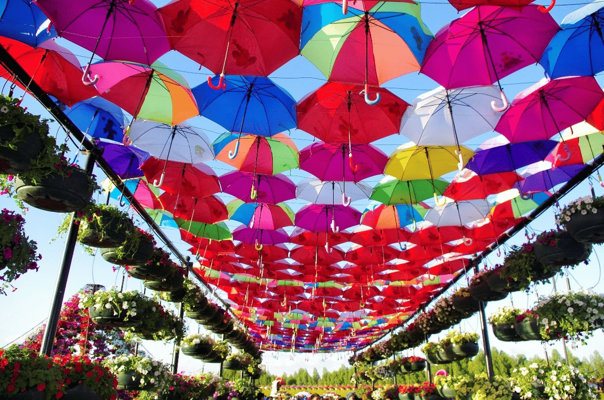 Dubai : Miracle Garden, The World’s Largest Flower Paradise
