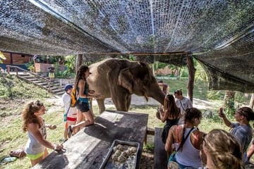 Elephant Sanctuary & Kanchanaburi Highlights Tour