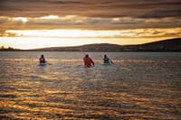 Sunset Coastal Kayaking and Island Hopping. Galway. Guided. 10
