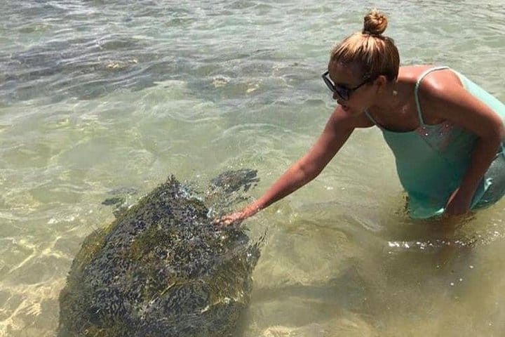 Glamourous Sri Lanka 7 Days Tour