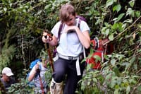 Hikking/Trekking to Adam's peak and Wilderness sanctuary. 2