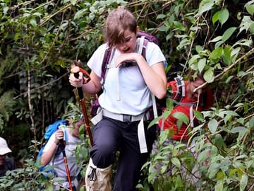 Hiking Tour to Adam's Peak and Wilderness Sanctuary in Colombo